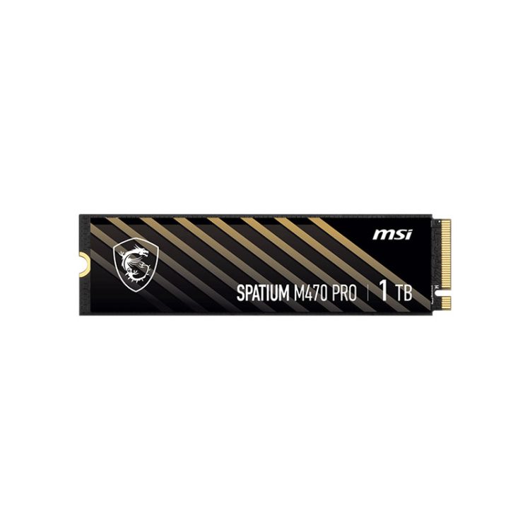 اس اس دی اینترنال ام اس آی ظرفیت 1 ترابایت مدل SPATIUM M470 PRO M.2